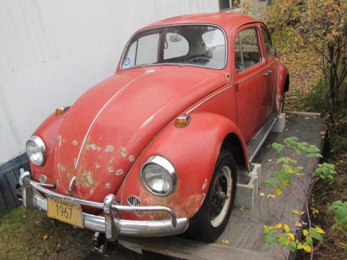 Terry's 1967 Bug