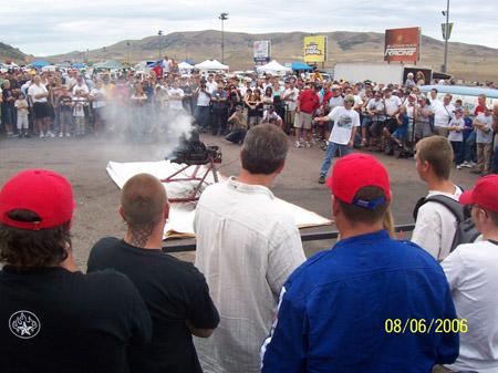 2006-colorado-bug-in-06
