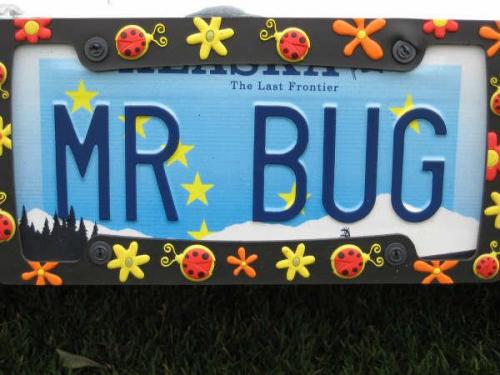 2008-show-n-shine-28