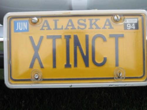 2008-show-n-shine-29