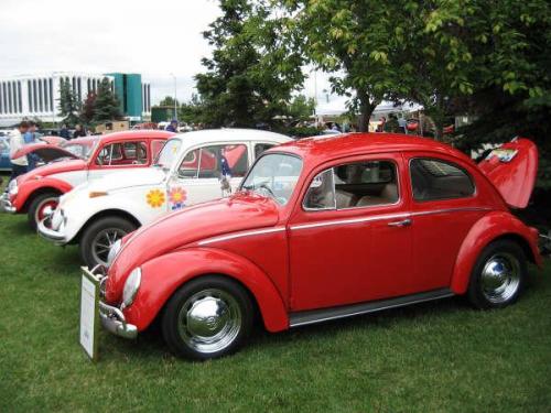 2008-show-n-shine-38