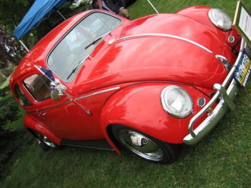 2008-show-n-shine-39