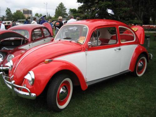 2008-show-n-shine-42