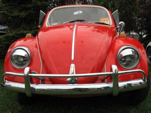 2008-show-n-shine-43