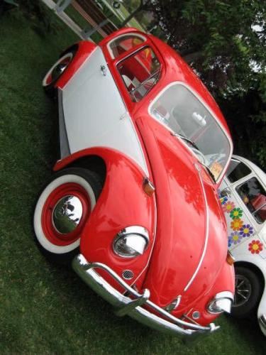 2008-show-n-shine-44