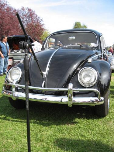 2009 show n shine-02