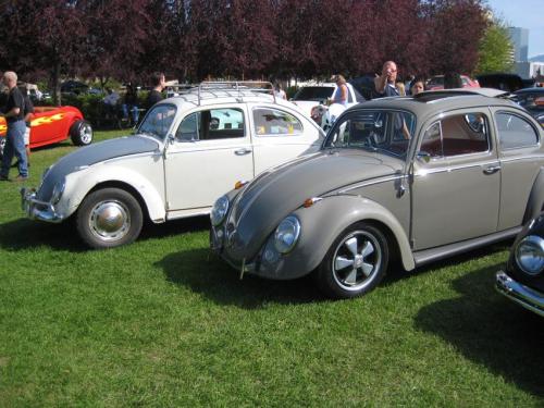 2009 show n shine-25