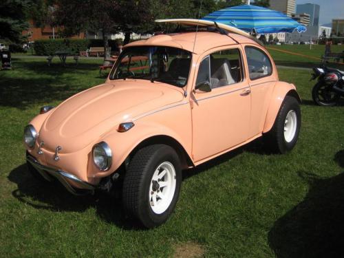 2009 show n shine-31