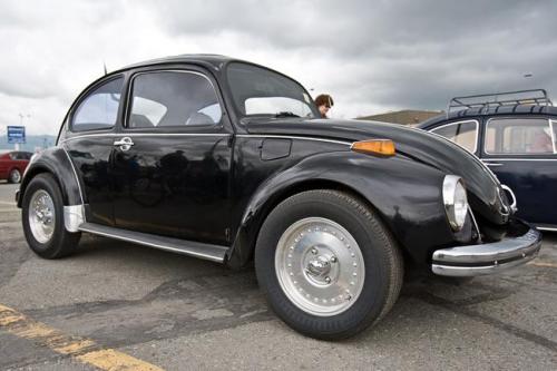 2010 family reunion-02