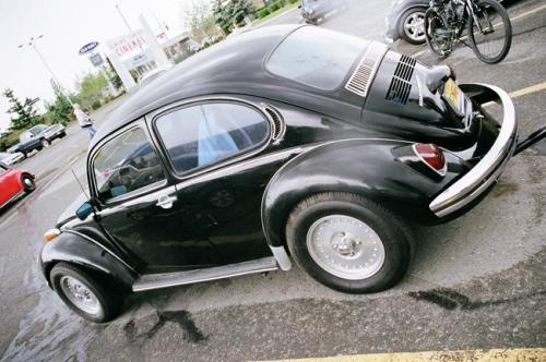 2010 family reunion-22