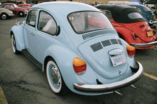 2010 family reunion-30