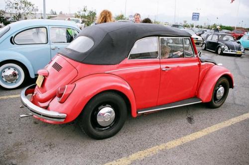 2010 family reunion-31