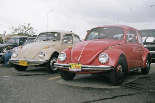 2010 family reunion-34