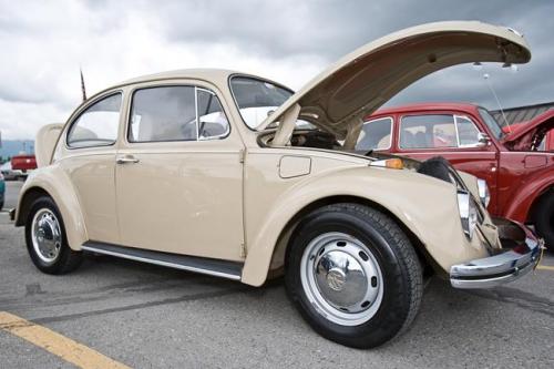 2010 family reunion-35