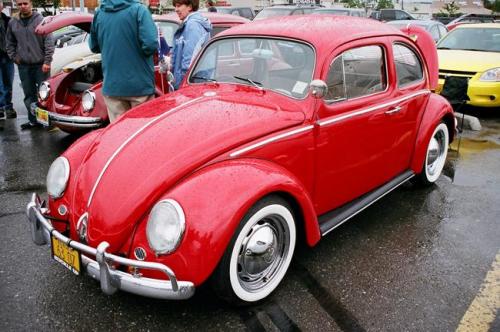 2010 family reunion-45