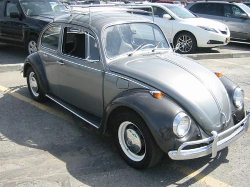 2011 family reunion-06