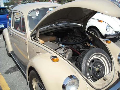 2011 family reunion-112