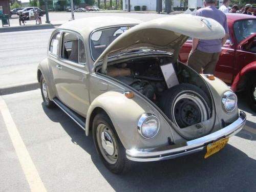 2013-family-reunion-03