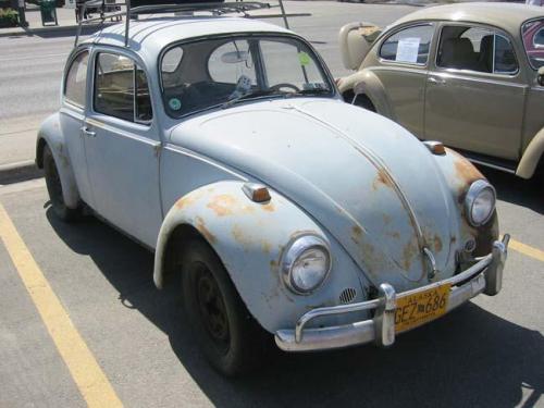 2013-family-reunion-131