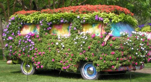 MINOLTA DIGITAL CAMERA