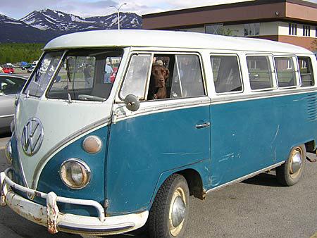 big ol photo album-05 lg