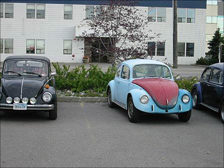 big ol photo album-106 lg