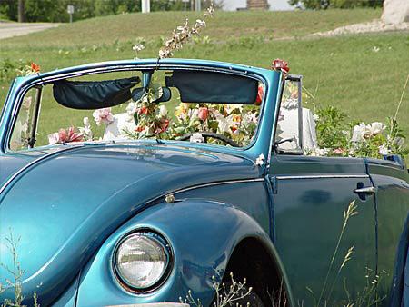 big ol photo album-97 lg