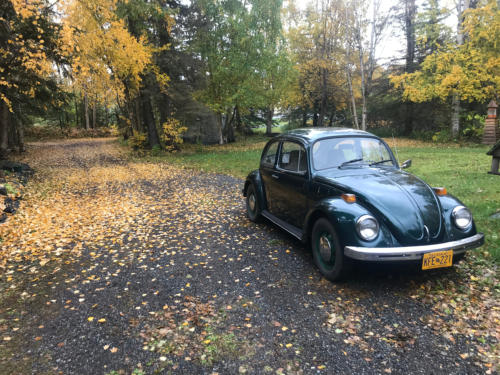 Brandi & Brett's '71 Beetle
