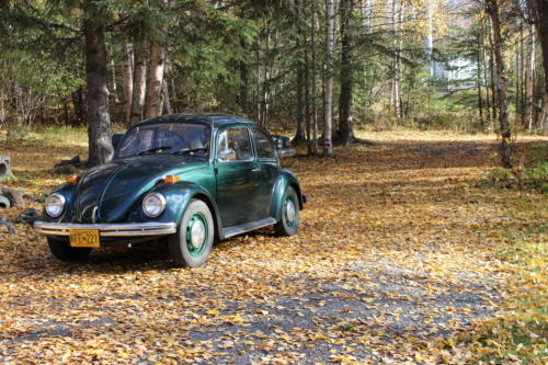 Brandi & Brett's '71 Beetle