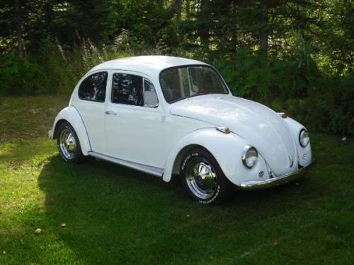 Craig's '67 Bug