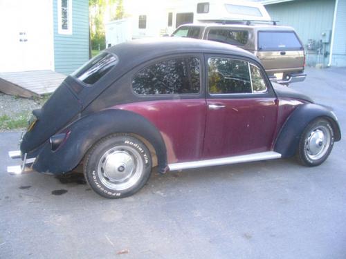 Craig's '69 Bug