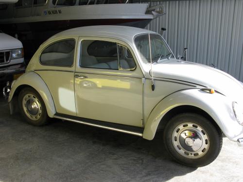 Irv's '66 Bug