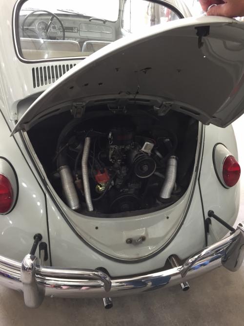 Irv's '66 Bug