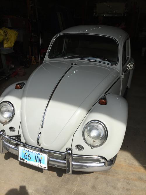 Irv's '66 Bug