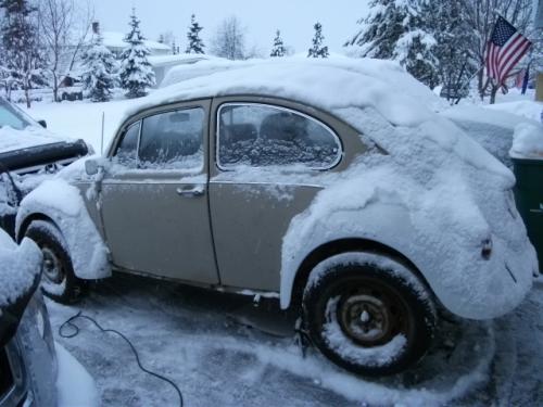 Jon's '70 Bug