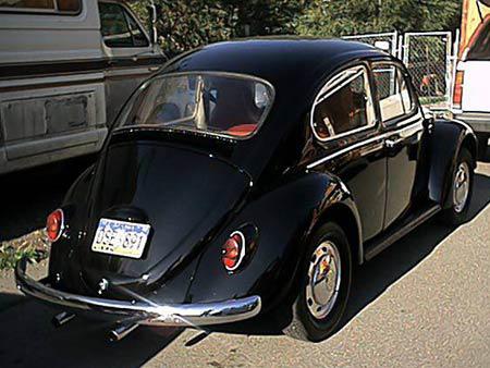 Paul's '66 Bug
