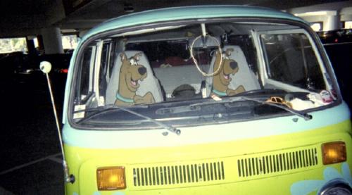 randomness-mystery front