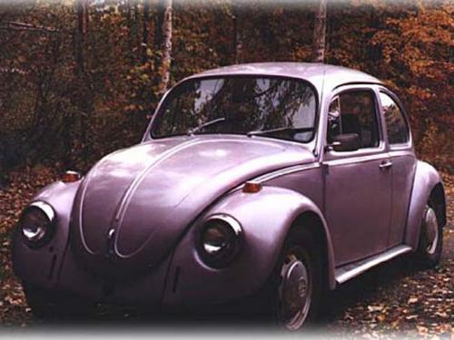 Randy's '68 Bug